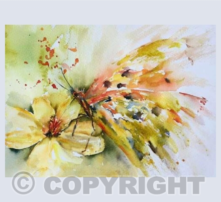 Butterfly