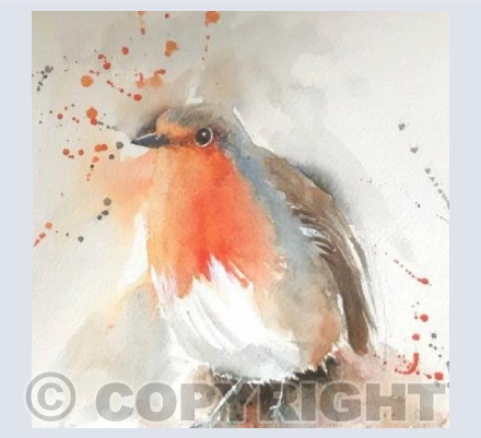 Robin 2
