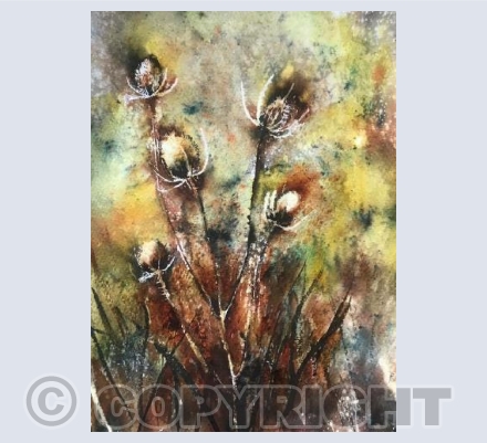 Brusho Teasels