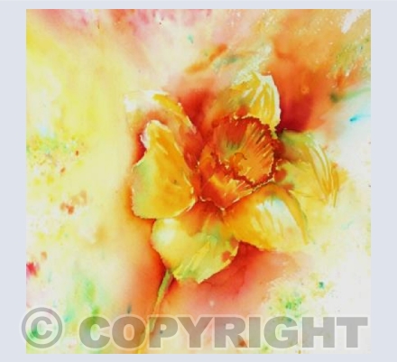 Brusho Daffodil