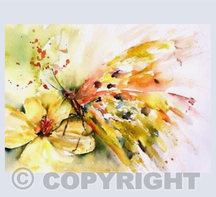 Yellow butterfy