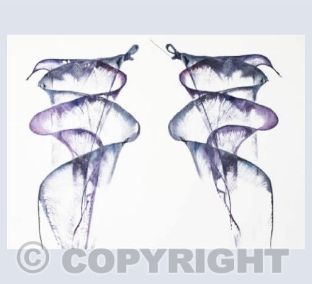 Mirror Flowers No.2
