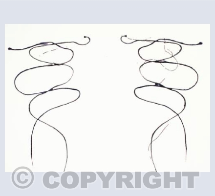Abstract Line No.1