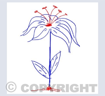 Digital Flower