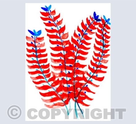 Red and Blue Flowers