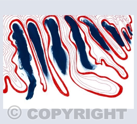 My Ancestors Follow Me