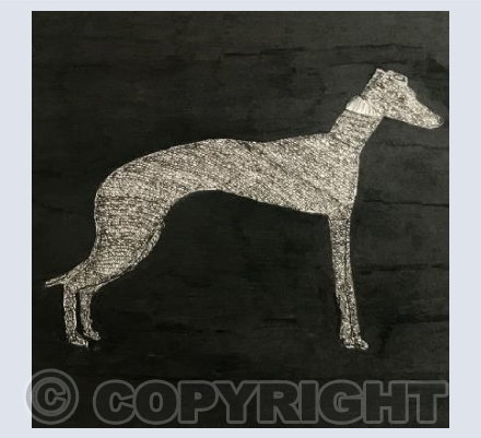 'Whippet'