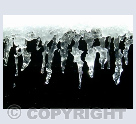 Icicle 