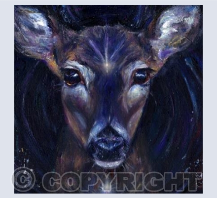 Spirit Deer 