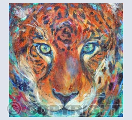 Jaguar Dreams