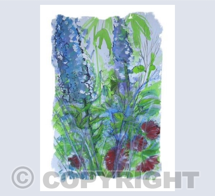 Delphiniums