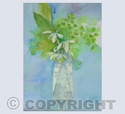 Snowdrops