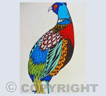 Pheasant