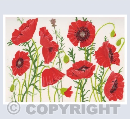 Poppies