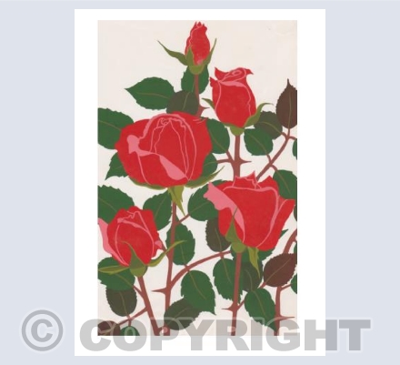 Red Roses
