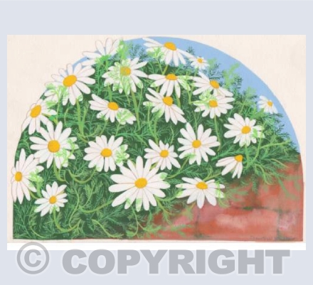 Daisies