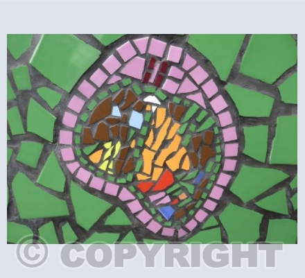 Abstract Butterfly