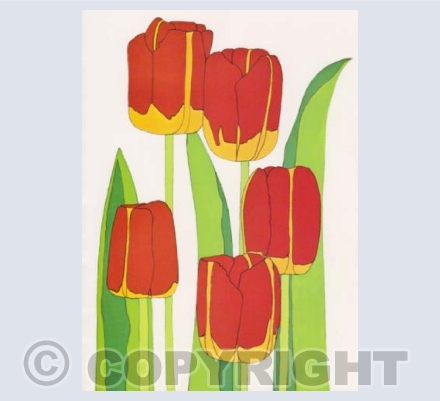 Red Tulips
