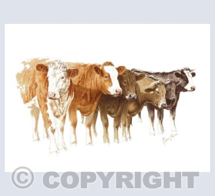 Beef Stock
