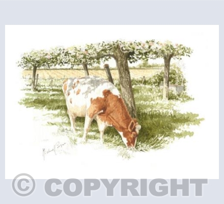 Just Grazing