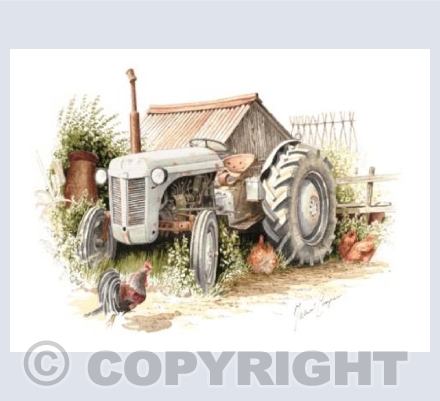 The Little Grey Fergie