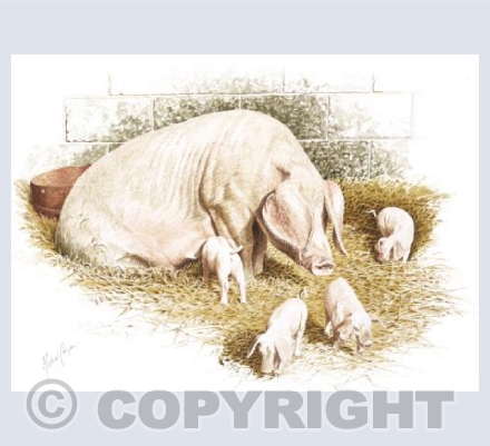 'Where do you think you are going?'