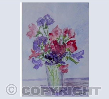Sweetpeas