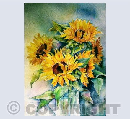 Sunflowers