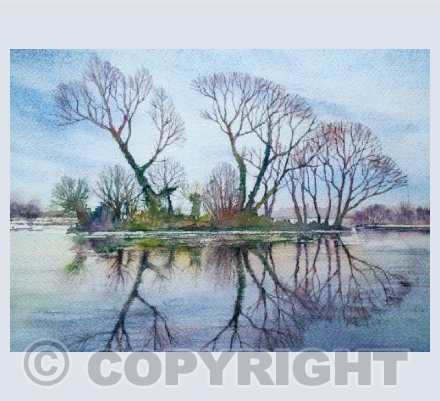 Winter Reflections