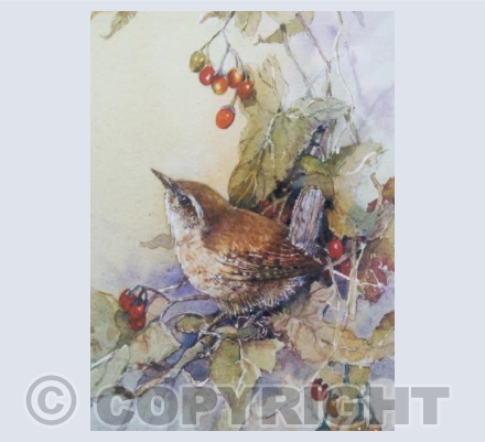 Wren