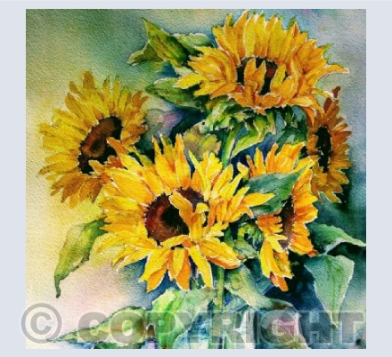 Sunflowers