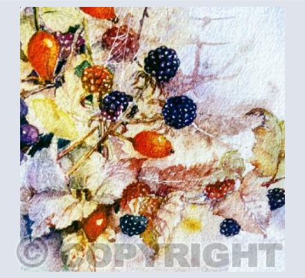 Autumn Berries