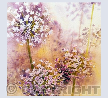 ALLIUMS