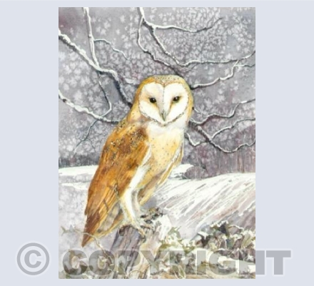 Winter Owl