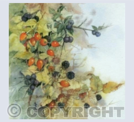 Autumn Hedgerow