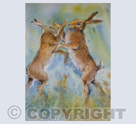 Boxing Hares