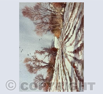 Winter Landscape