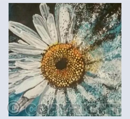 Daisy 