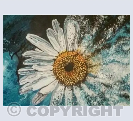 Daisy 2