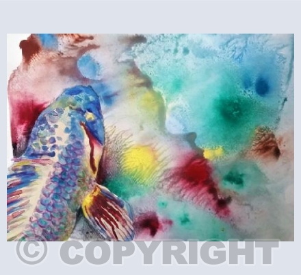Rainbow fish