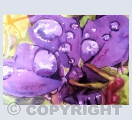 Purple flower
