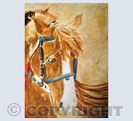 Windy horse