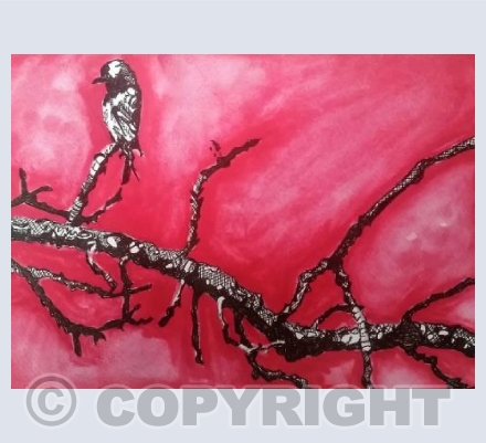 Bird in Red