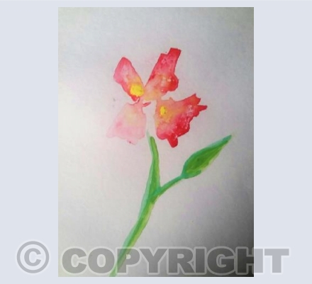 Watercolour flower