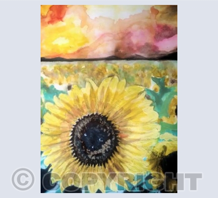 Sunflower heaven