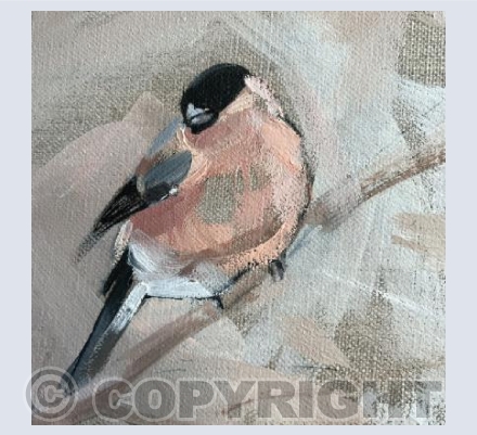 Single Bullfinch Square 