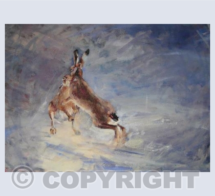 Boxing hares in snow Greeting card