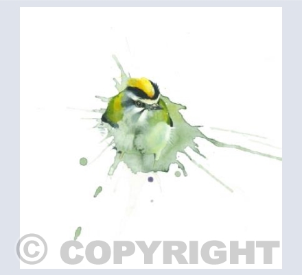 Firecrest square card