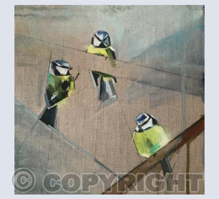Blue tit square card