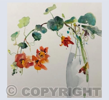 Nasturtiums square card
